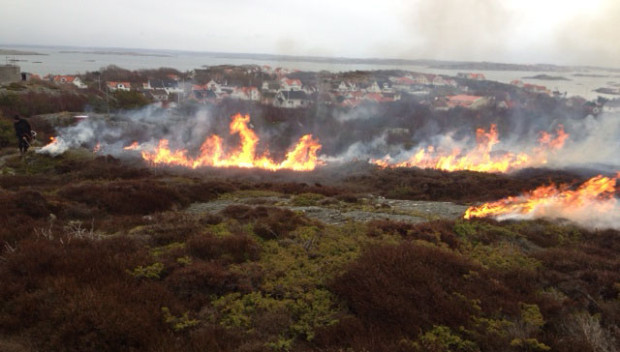 Bränning Rörö mot byn 27 May 2014